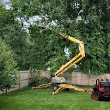 Reliable East Glenville, NY  Tree Services Solutions